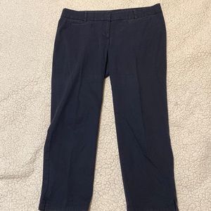 Ann Taylor Crop Pants